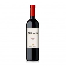 Vinho Argentino Benjamin Nieto Select Malbec 2017