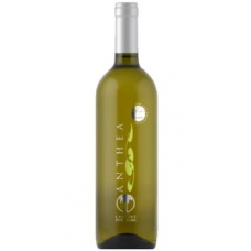 V. Due Palme Bco Anthea Falanghina Puglia 750 Ml