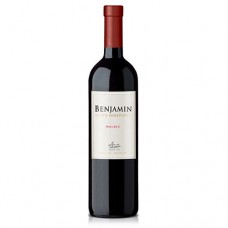 Vinho Argentino Benjamin Nieto Malbec 2019 6x750