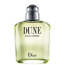 Dune Pour Homme Dior - Perfume Masculino - Eau De Toilette 100ml