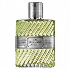 Eau Sauvage Dior - Perfume Masculino - Eau De Toilette 100ml